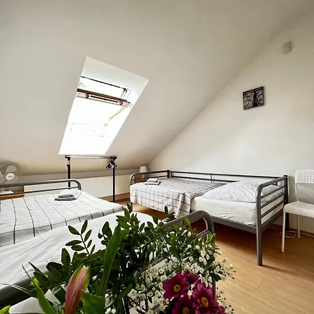 Sofi Pensjonat 3*